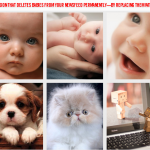 Facebookニュースフィードの「赤ちゃん写真」を「ネコ写真」にすり替えてくれるChrome拡張機能