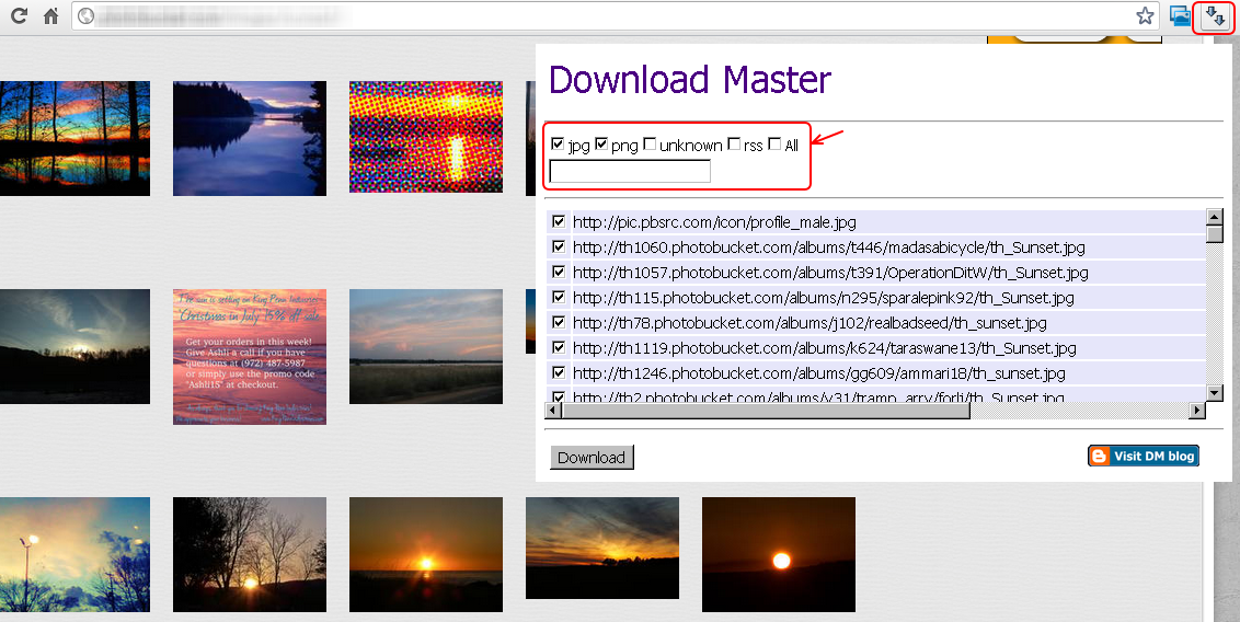 Chrome拡張機能 Download Master