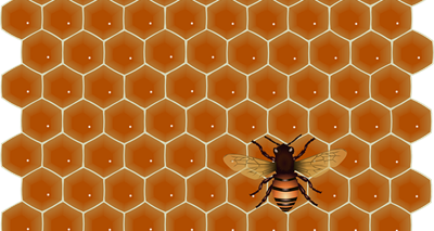 蜂蜜の性質1