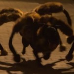 巨大蜘蛛に変身した犬が夜の街を徘徊、鬼畜なイタズラドッキリが大ブレイク中！！