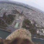 【動画】鷲の目線から見る花の都パリ