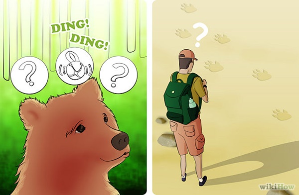 熊を逃れる方法3