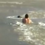 【ヒーロー】凍った川を泳いで野良犬を救出するロシア人男性の勇姿
