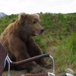 撮影中のカメラマンに巨大なグリズリーが大接近！！熊と遭遇した時の対処法