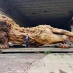 【画像】一本の木からできた超巨大な獅子の彫刻