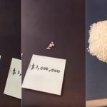 世界一のお金持ちジェフ・ベゾスの莫大な資産を米粒で分かりやすく表した動画